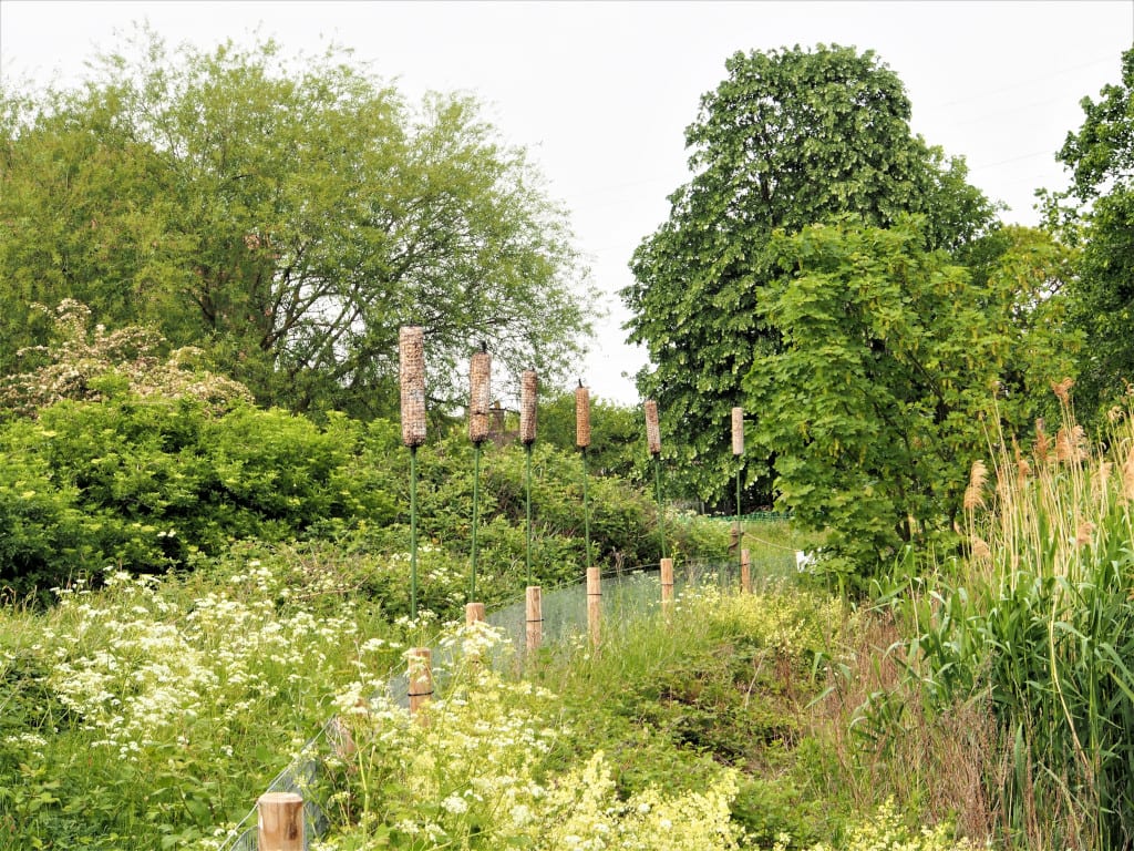 Botanical Sculpture Trail @ Walthamstow Wetlands 2018 02