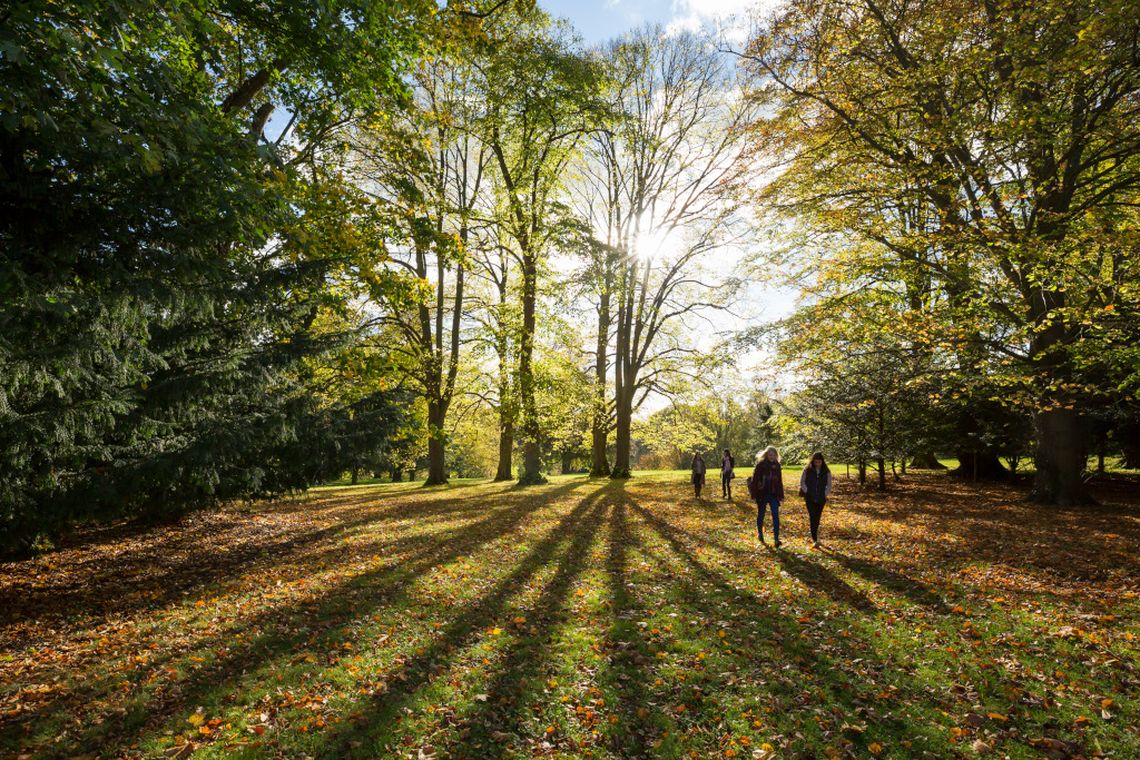 New Year's Walk. Image (c) National Trust, Chris Lacey